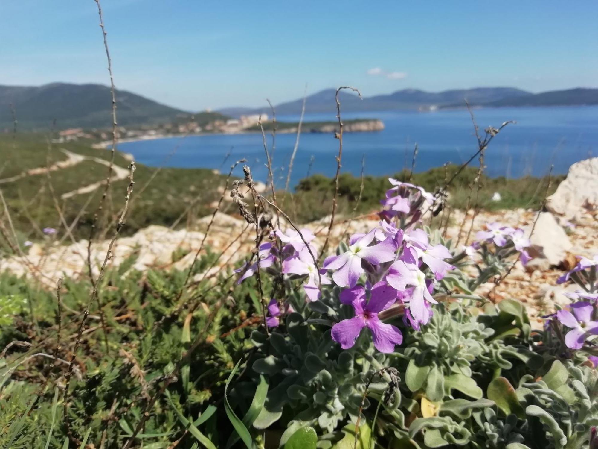 Bed and Breakfast El Matorral Alghero Zewnętrze zdjęcie